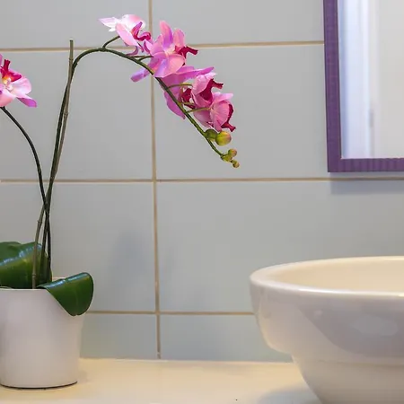 Apartamento Aster Protaras